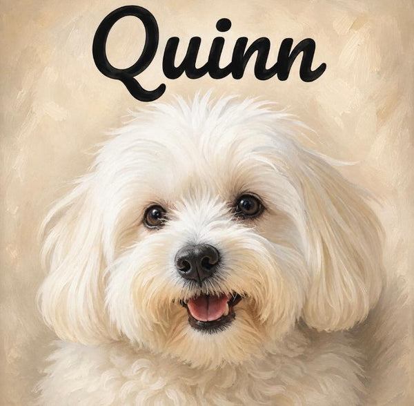 Painting YOUR OWN PET Kit