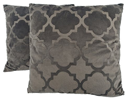 2 Pack Ashviee Luxurious Microplush Throw Pillow Contains Insert,Super Soft 3D Pattern Pillow 18X18"