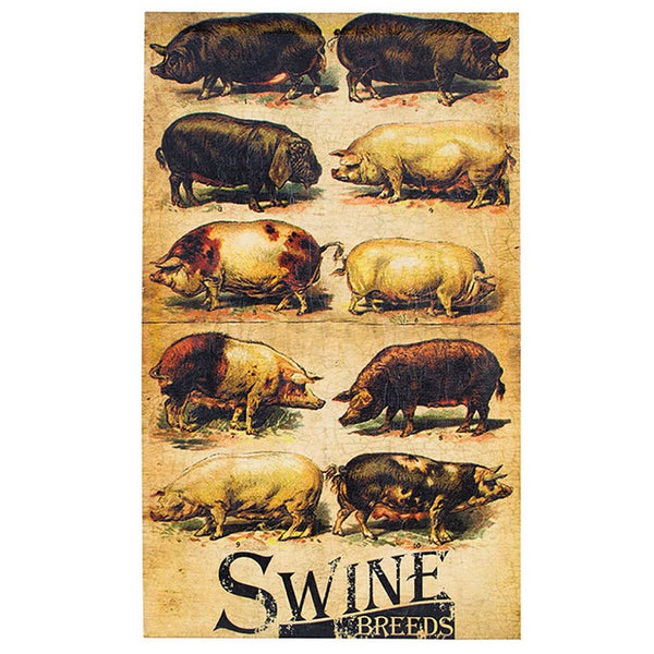 #72925 Swine Breeds Canvas